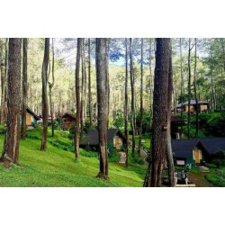 7 Tempat Wisata Outbound di Bandung Terbaik